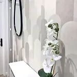 Appartement Rf101- Magnifique 3 Pièces Centre