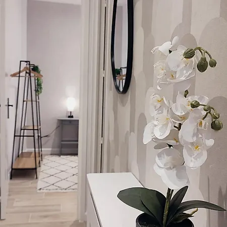 Apartment Rf101- Magnifique 3 Pieces Centre