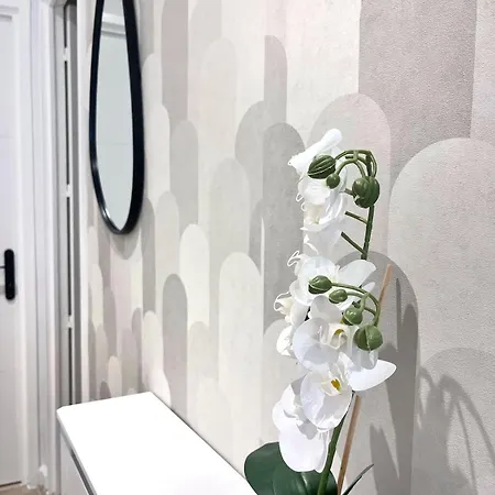 Apartment Rf101- Magnifique 3 Pieces Centre