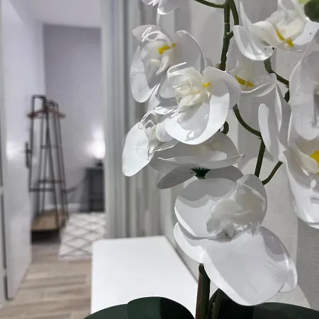 Rf101- Magnifique 3 Pieces Centre