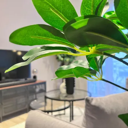 Rf101- Magnifique 3 Pieces Centre Apartment