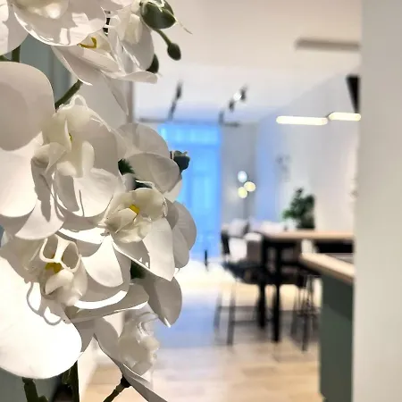 Rf101- Magnifique 3 Pieces Centre