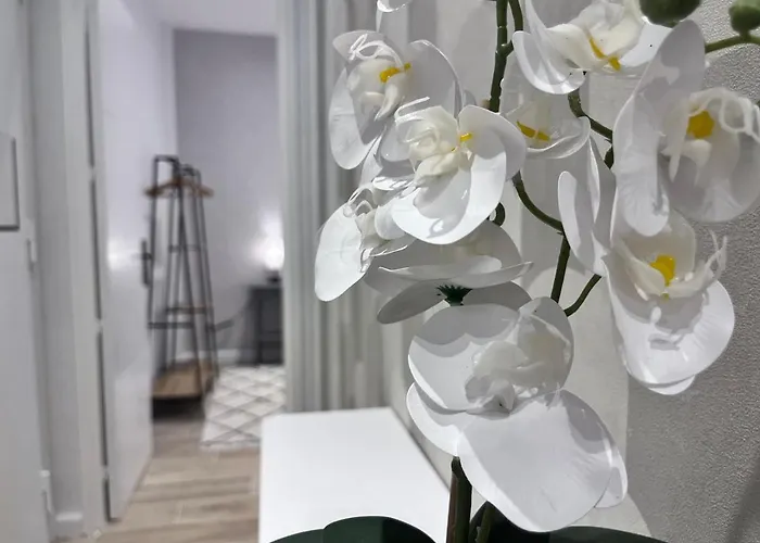 Rf101- Magnifique 3 Pieces Centre