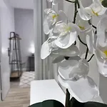 Rf101- Magnifique 3 Pieces Centre