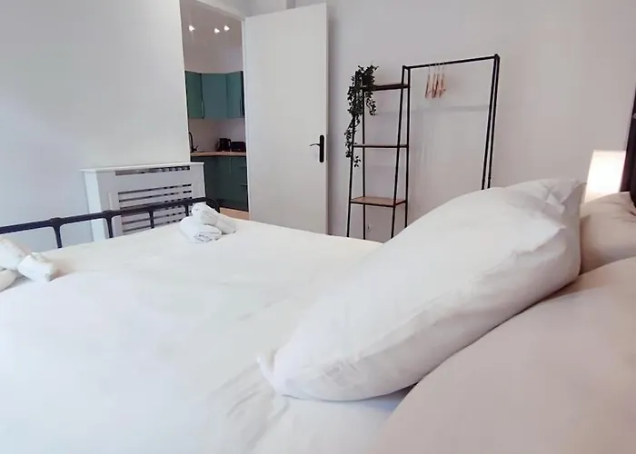 Rf101- Magnifique 3 Pieces Centre Apartment