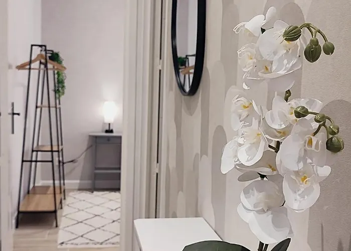 Apartment Rf101- Magnifique 3 Pieces Centre