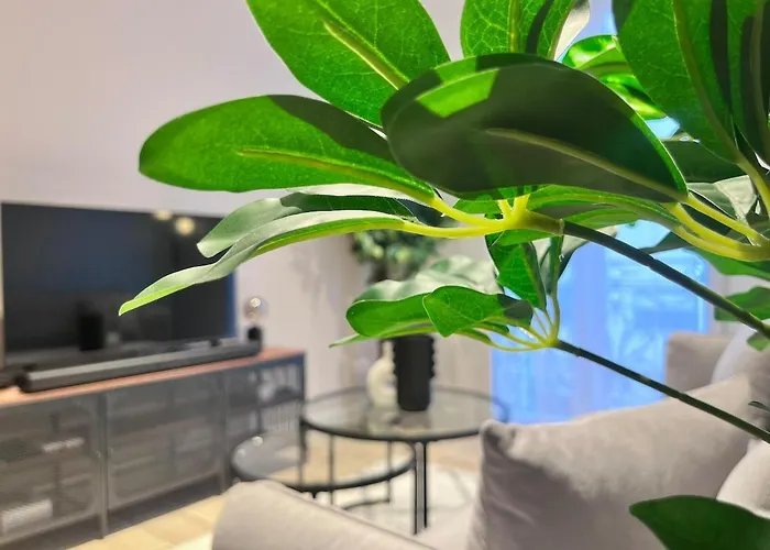 Rf101- Magnifique 3 Pieces Centre Apartment