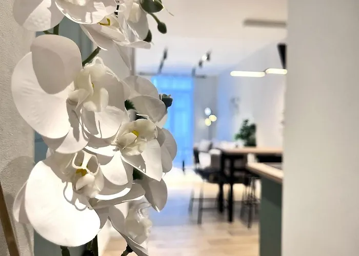 Rf101- Magnifique 3 Pieces Centre