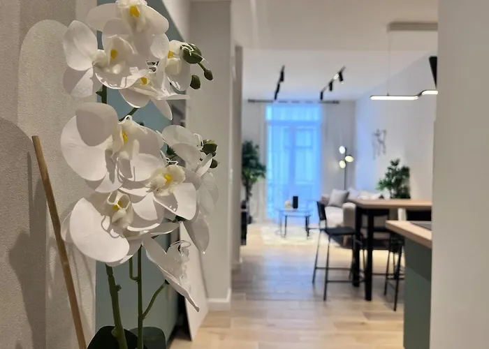 Apartment Rf101- Magnifique 3 Pieces Centre